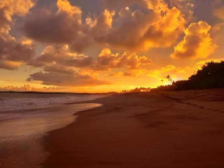 Star Sun Homestay Tangalle Eksteriør billede