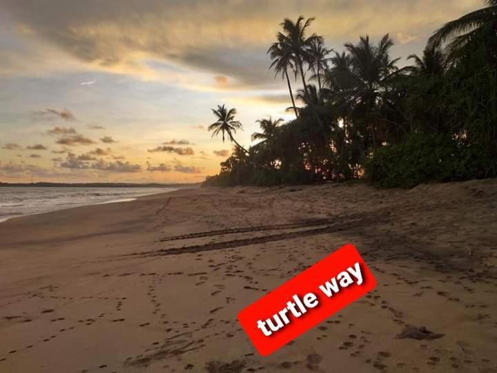 Star Sun Homestay Tangalle Eksteriør billede
