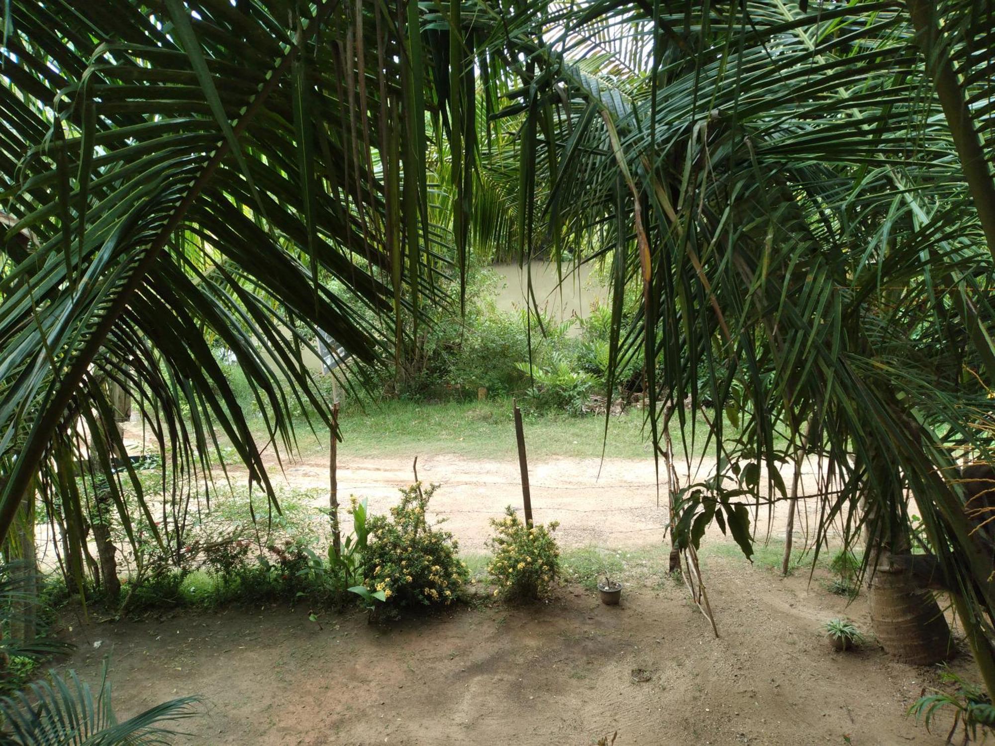 Star Sun Homestay Tangalle Eksteriør billede